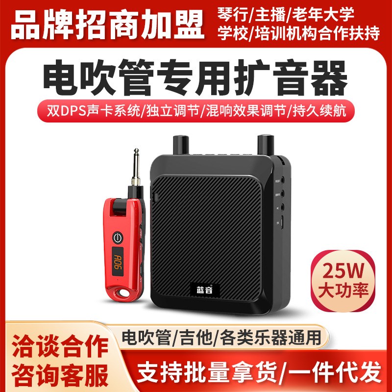 专业电吹管便携小音箱乐器专用无线扩音器内录笛子二胡吉他音箱