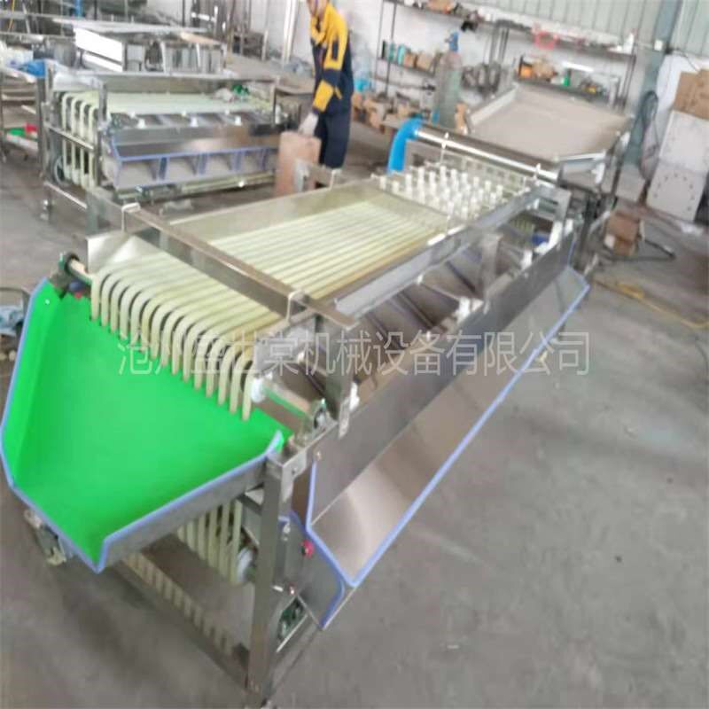 短枣选果机 商用小型水果分果机 分级规格可选