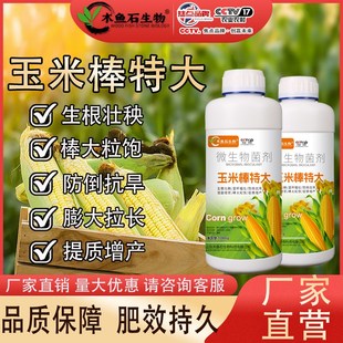 玉米专用叶面肥抗倒伏抗病促根高产籽粒饱满玉米一号粗缩净叶面肥