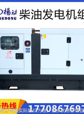 静音柴油发电机组20KW 无刷带四保护扬动动力25KVA有刷柴油机380V