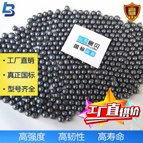 钢丸 抛丸机钢砂喷砂除锈金属表面处理合金钢丸铸造抛丸