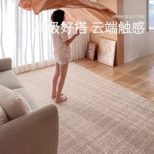 新西兰羊毛地毯客厅简约轻奢高级感茶几毯卧室编制耐脏极简风地垫