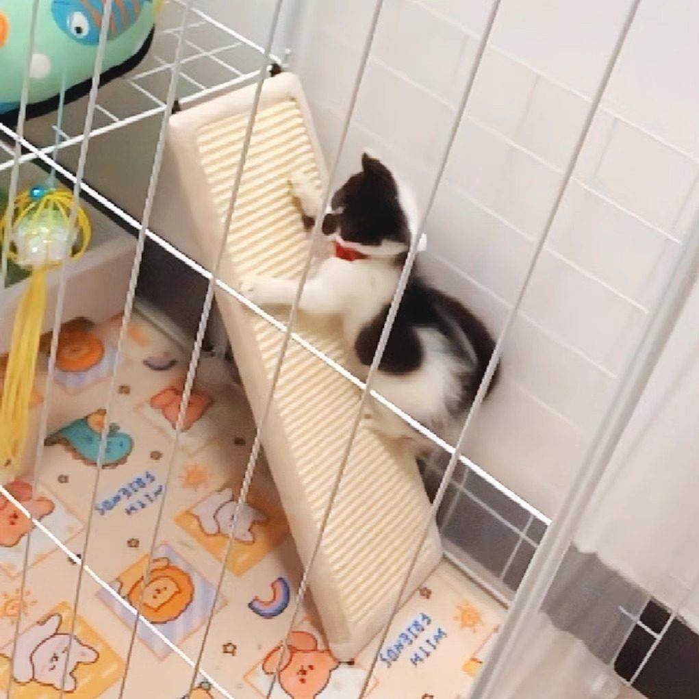 拉士格猫笼平台搭配 高密度剑麻板猫抓板 大号磨爪利器 可当爬梯,宠物/宠物食品及用品,猫抓板,淘宝优惠券,粉丝福利购,淘宝优惠卷