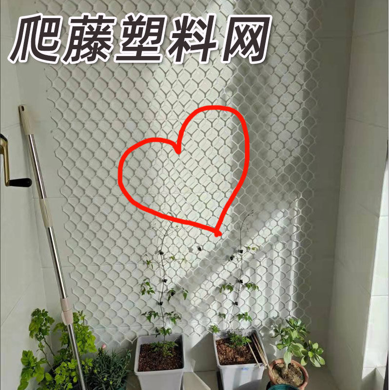 花墙架网格家用大孔塑胶网爬v藤网格网片花墙包水管绿植爬藤塑料