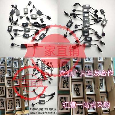 25款红旗H5旗标灯常亮模块HS5H6H9解码器中网流光灯led厂家直销4S