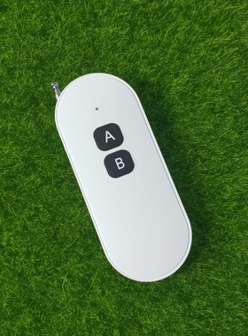 白色椭圆形两键控制开关灯具电动车库道闸电机门禁二键遥控发射器