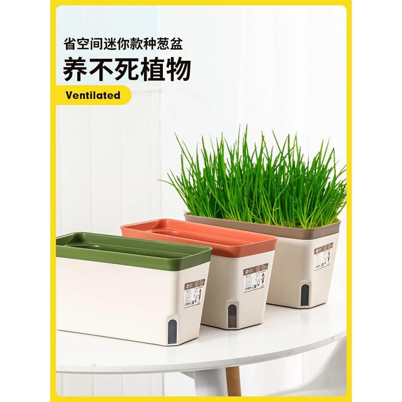 阳台香菜懒人种菜菜盆种植蔬菜养葱盆长方形专用箱花盆盆栽种菜盆