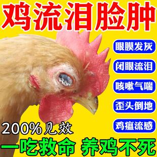 鸡流泪眼肿药家禽鸡鸭鹅支原体感染眼膜发灰白感冒咳嗽养鸡专用药