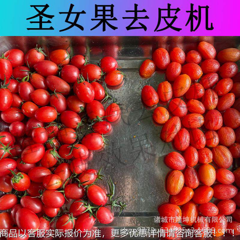 全自猴圣女果去机 多功能西红柿皮葡萄脱皮机QZG 猕桃黄桃去动皮