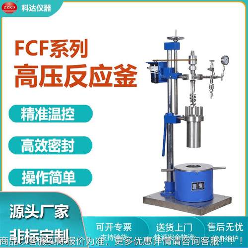 验室FCF-10高高压反应釜 CJF/FCF/T4GYF 30不锈钢高压釜 压温力实