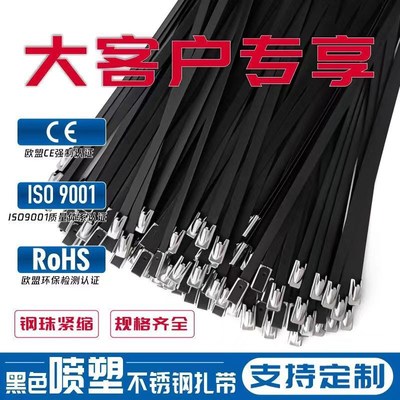 喷塑不锈钢扎带304刚扎带4.6*250mm包塑铁扎带耐高温工地黑色自锁