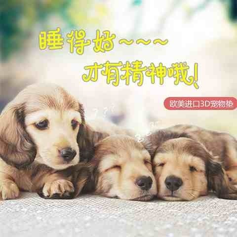 春夏狗垫子大型犬可拆洗猫狗窝笼垫耐咬金毛泰迪S宠物垫四季凉席A