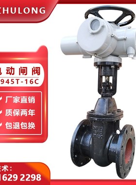 电动法兰闸阀DhN100排污水厂明杆铜芯铜杆契式球磨铸铁开关阀门15