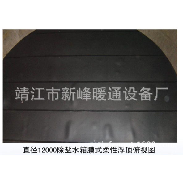 单层膜式浮顶  浮顶  水箱浮顶  除盐水箱浮顶   膜式柔性浮顶