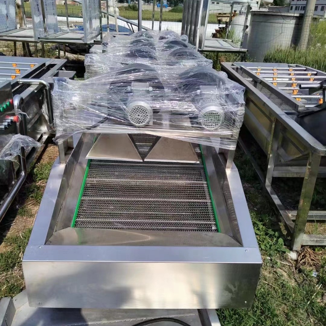 商用气泡清洗机清洗水果蔬菜干净发生器海鲜杀菌食品级清洗神器