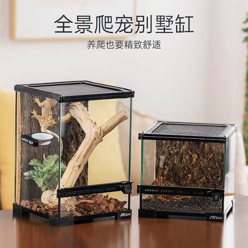 JKZOO爬虫雨林生态造景缸爬宠饲养箱蜥蜴睫角R属守宫角蛙饲养缸