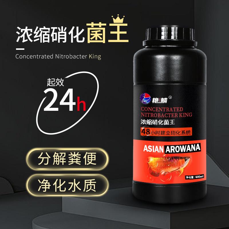 艳鳞硝化细菌鱼缸鱼池养鱼浓缩净水剂水质稳定剂水族水产专用护理