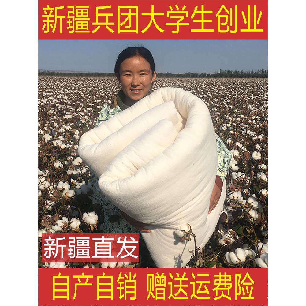 4斤正品新疆棉花被芯长绒棉花单人床垫被夏凉被空调被薄被子定制