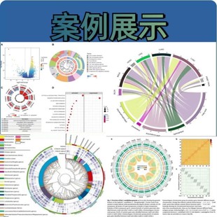 生信分析网络药理学孟德尔随机化MR实验外包火山图绘制