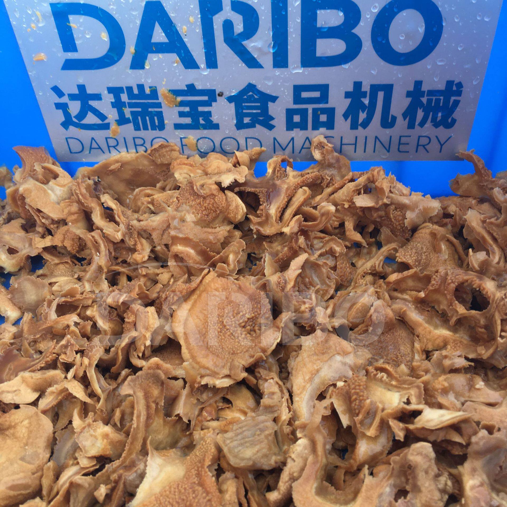 L小型全自动不锈钢切菜机 多种类果蔬切片机 酒店餐厅备餐切片机