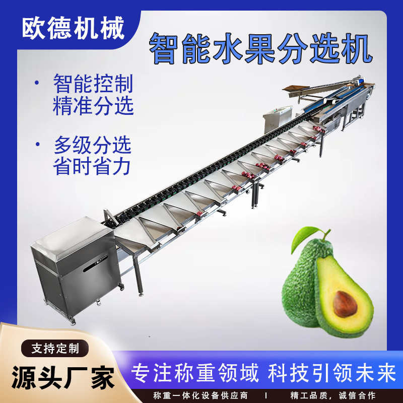 欧德赣南脐橙智能水果分选机橘子柠檬重量选果机视觉检测伤果坏果