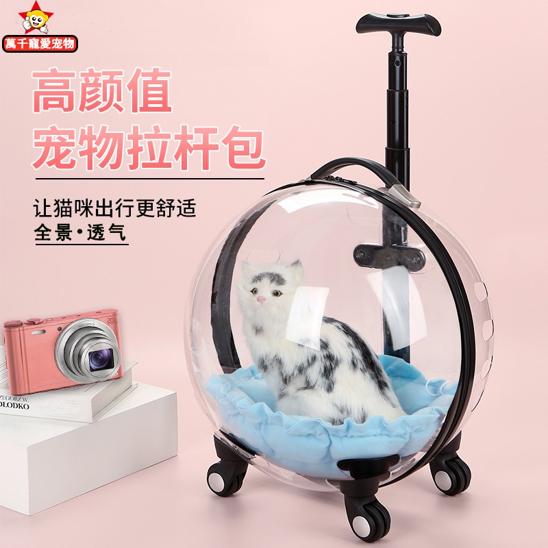 猫包拉杆箱e猫咪背包外出便携透明狗宠物手提行李大容量夏天太空