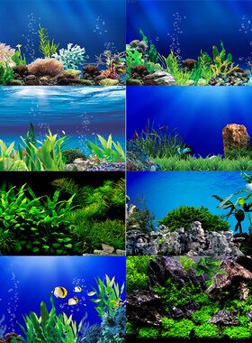 鱼缸背景贴纸壁纸3D立体高清图海底水草造景水族箱外贴装饰背景纸