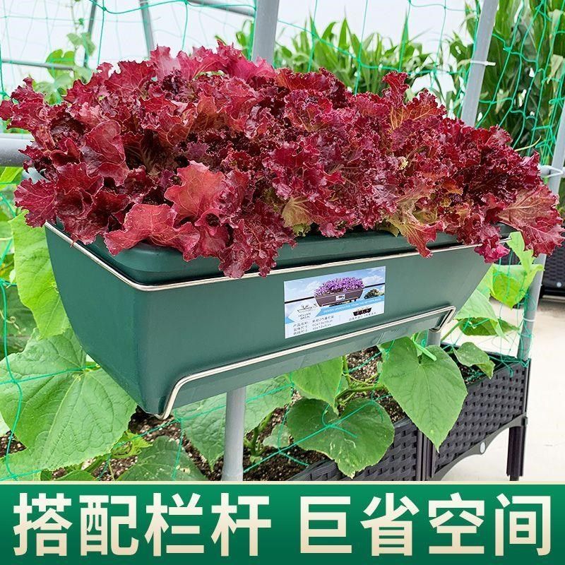 阳台种菜盆长方形塑料花盆加厚家用霍伦盆楼顶蔬菜草莓专用种植箱,家居饰品,花盆,淘宝优惠券,粉丝福利购,淘宝优惠卷