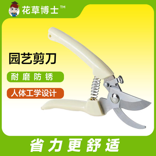 园艺剪刀不锈钢修枝剪盆景修剪园林工具多功能省力树枝剪子叶芽剪