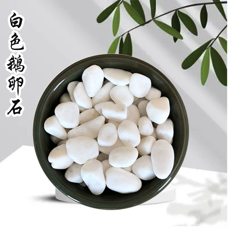 鹅卵石 水过滤装饰鹅卵石 抛光白石子白色鹅卵石 园林洗米石.
