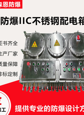 304不锈钢防爆配电箱IIC油库甲类车间控制箱 防爆照明动力配电箱