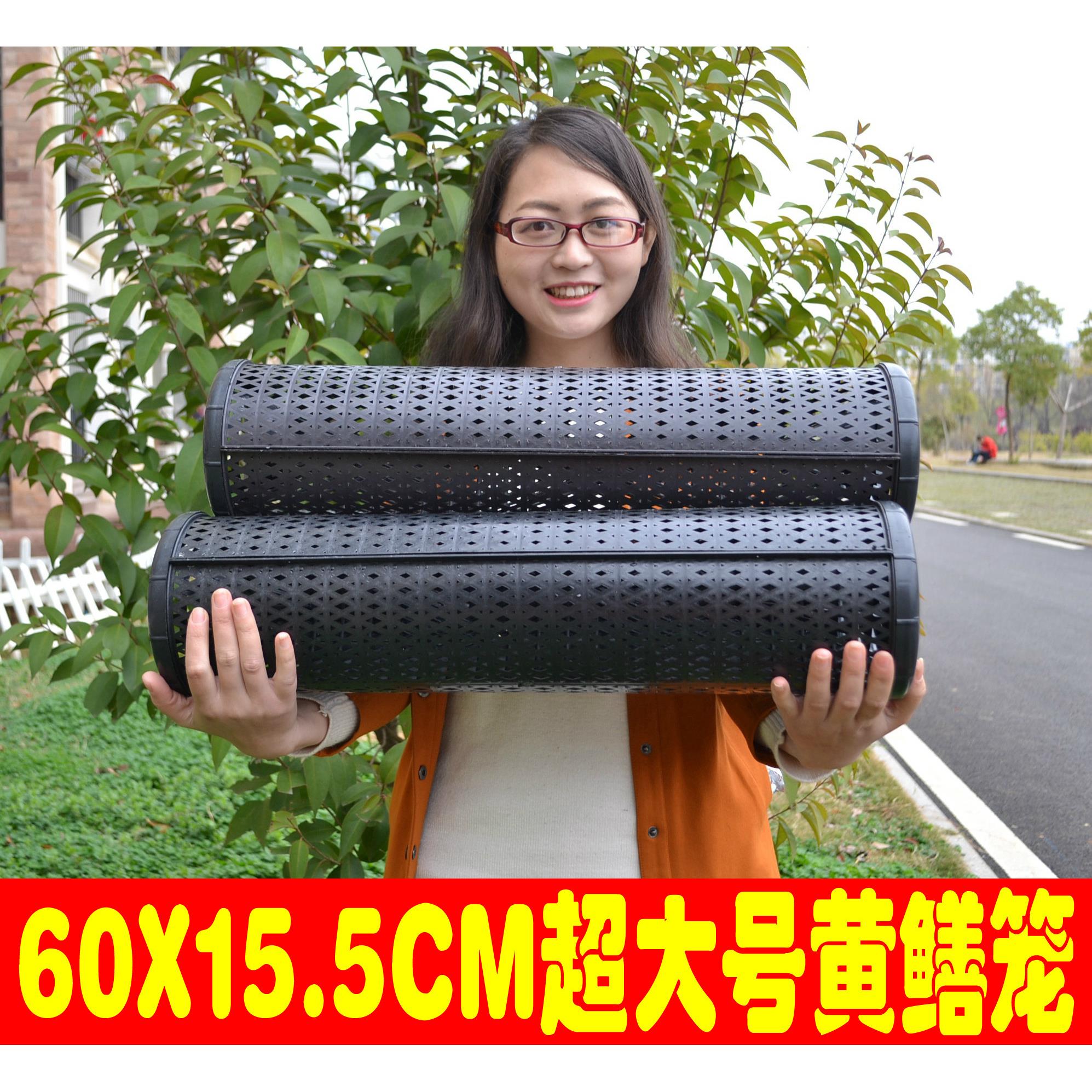 超大号黄鳝笼一字黄鳝笼可拆卸塑料鳝鱼笼高效鳝笼泥鳅笼