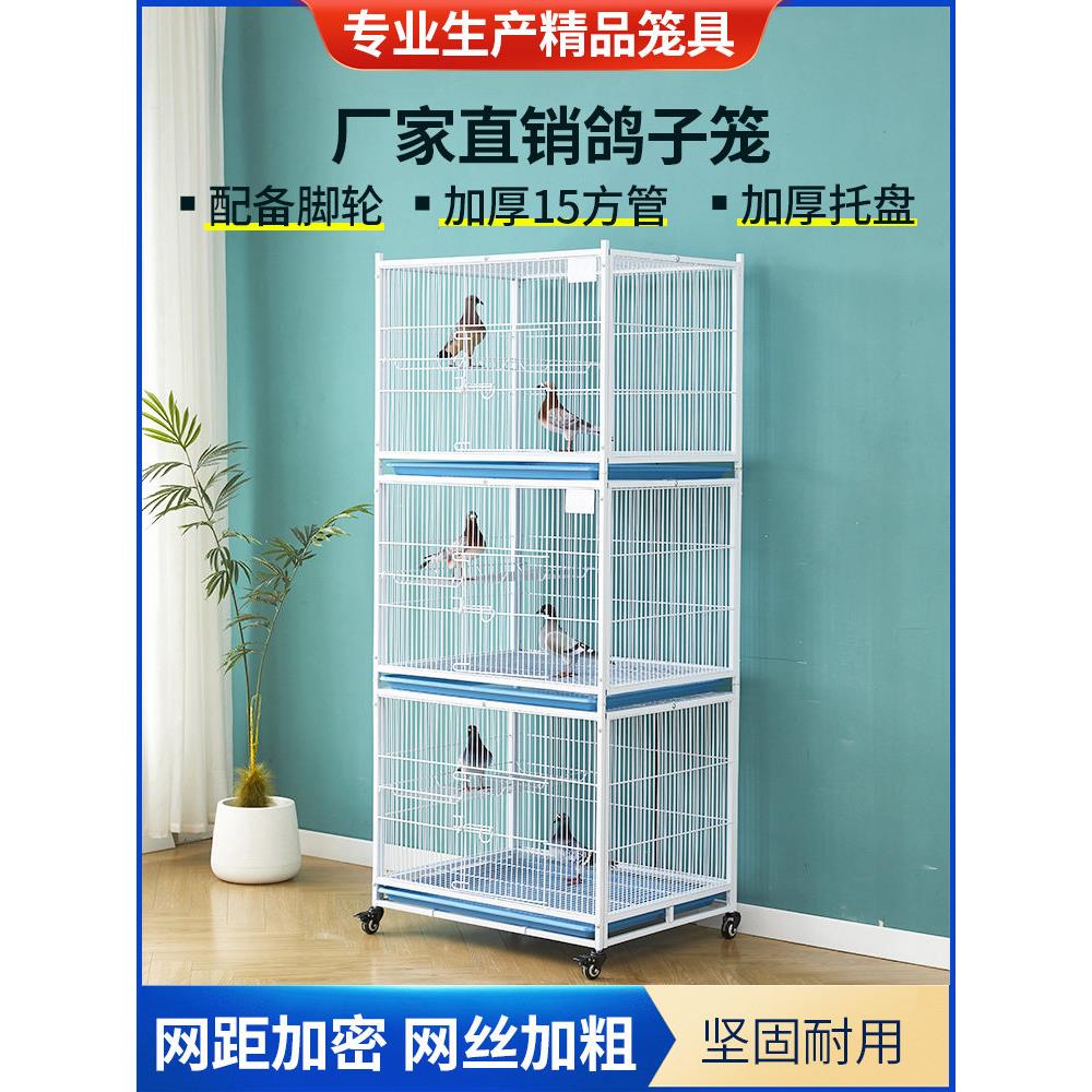帝家畅80鸽笼配对鸽笼竞速鸽笼归巢鸽笼鸡笼公棚鸽舍养殖笼
