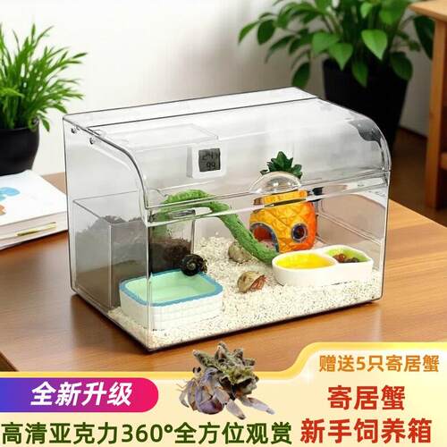 寄居蟹新手适用压克力饲养箱可用于办公室鱼缸造景