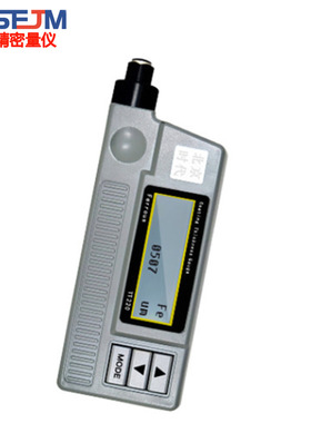 时代TT220涂层测厚仪 漆膜厚度检测仪油漆镀锌层厚度测量仪器