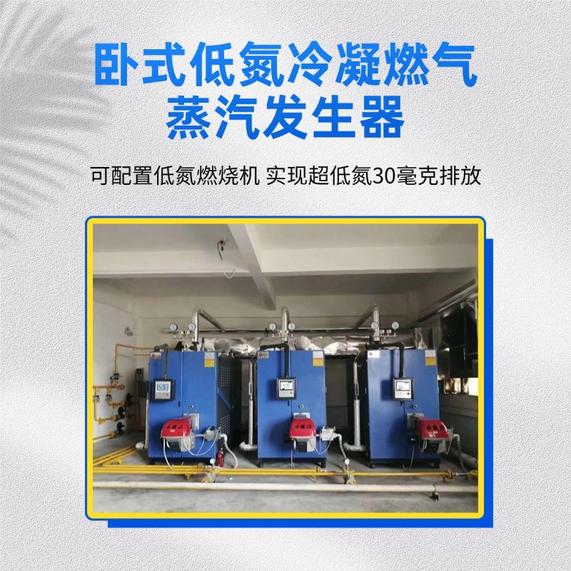 劳士特馒头包子年糕加工专用节能蒸汽发生器