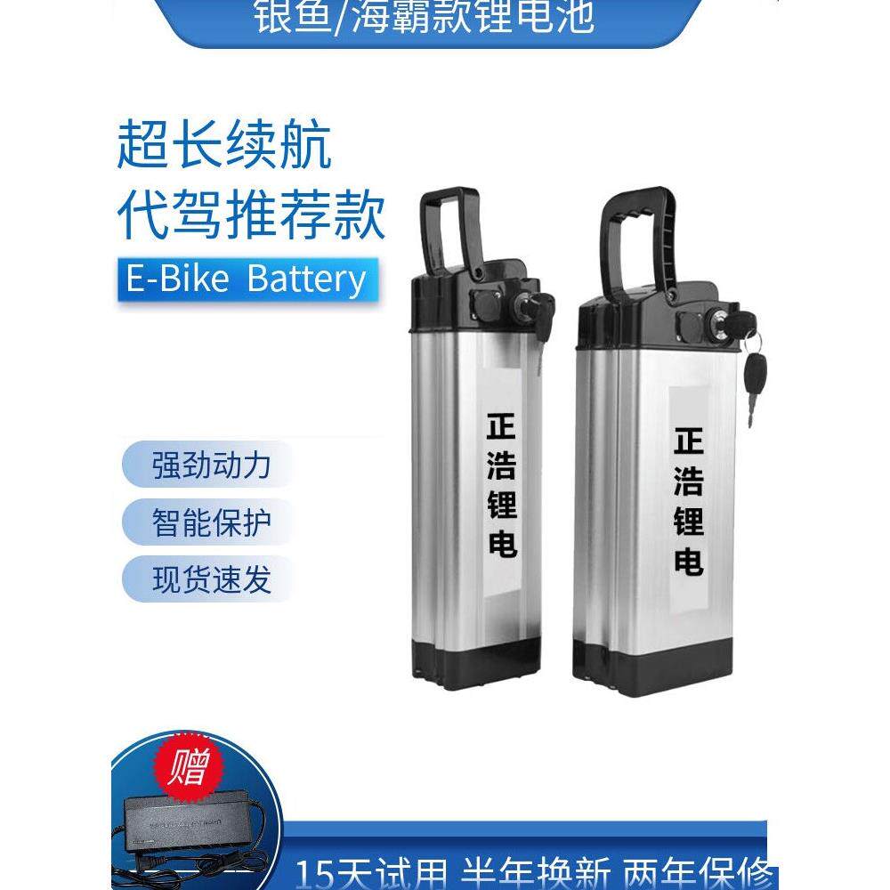 代驾电动车锂电池48v银鱼款海霸款电动自行车电瓶48v20ah通用锂电