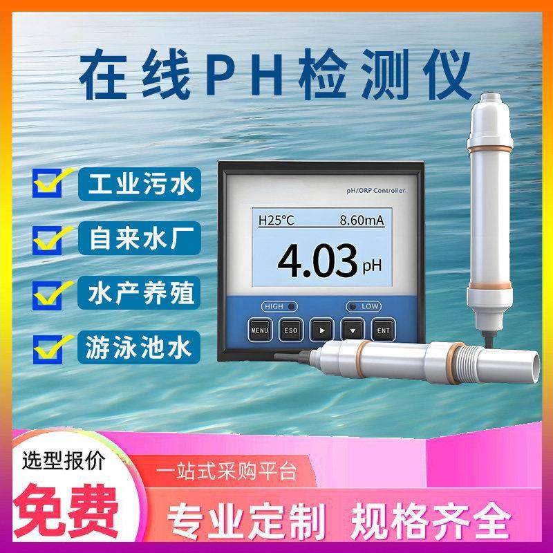 线 线上工业pH计控制器检测仪水质ph测试ORP值电极监视器防爆感测