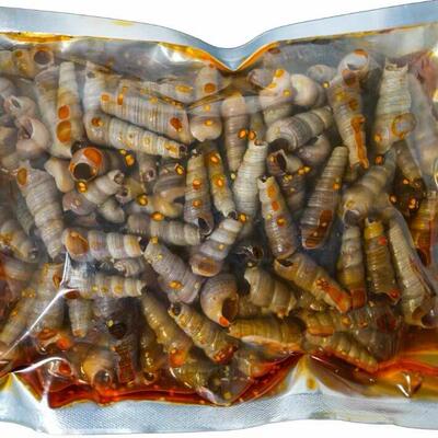 麻辣钉螺小海鲜烧烤餐饮大袋装实惠商用到手3斤顺丰包邮