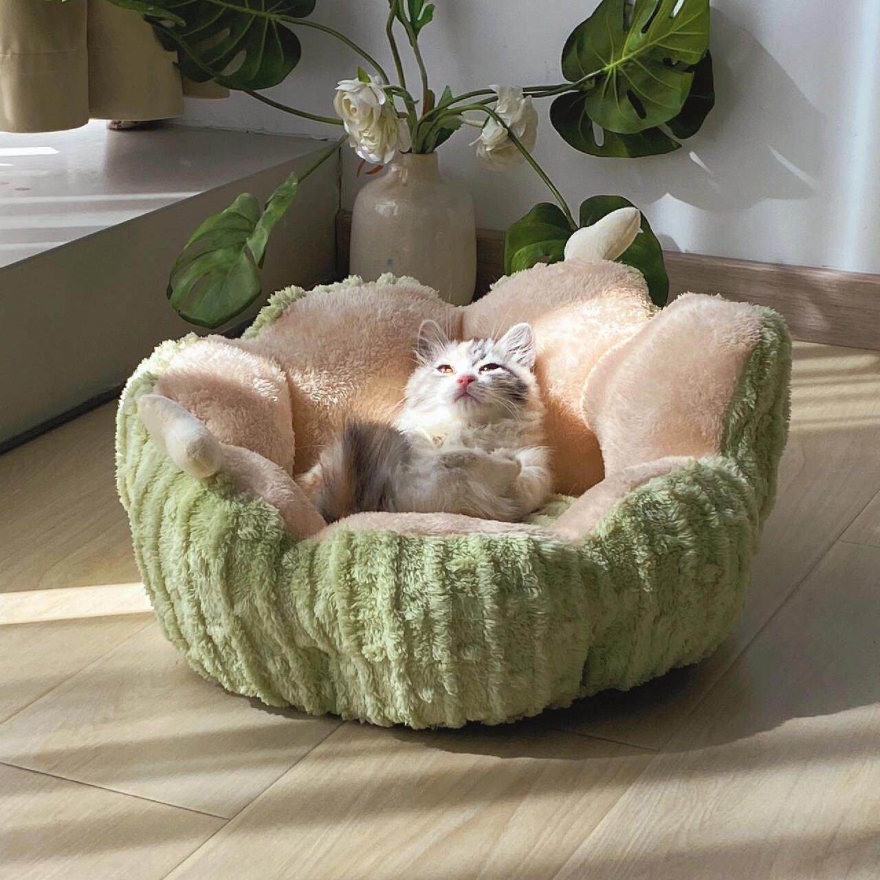 仙人掌猫窝狗窝四季通用冬季保暖半封闭式安全感加厚宠物窝新款,宠物/宠物食品及用品,猫窝/屋/帐篷/沙发,淘宝优惠券,粉丝福利购,淘宝优惠卷
