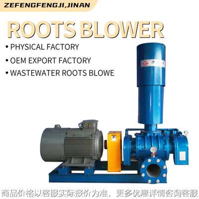 跨境三叶式电动铸铁罗茨鼓风机供氧水产养殖工业用Roots Blower