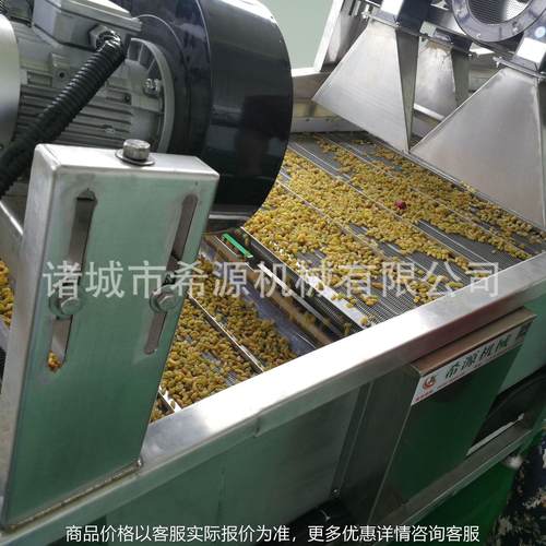 连续葡萄干清洗机 气泡大枣清洗机 鼓泡式牛油果火龙果清洗流水线