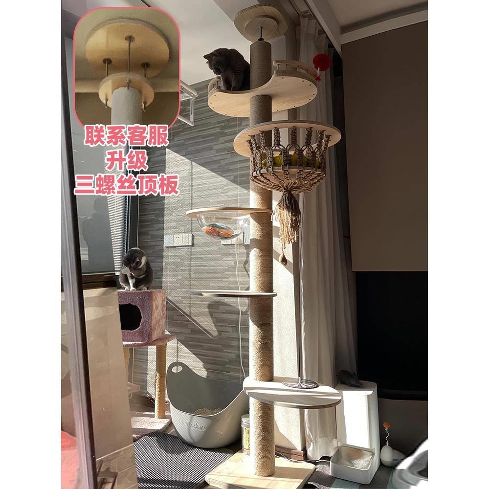 实木通天柱猫爬架猫架子高层顶天立地不占地猫跳台剑麻爬柱太空舱