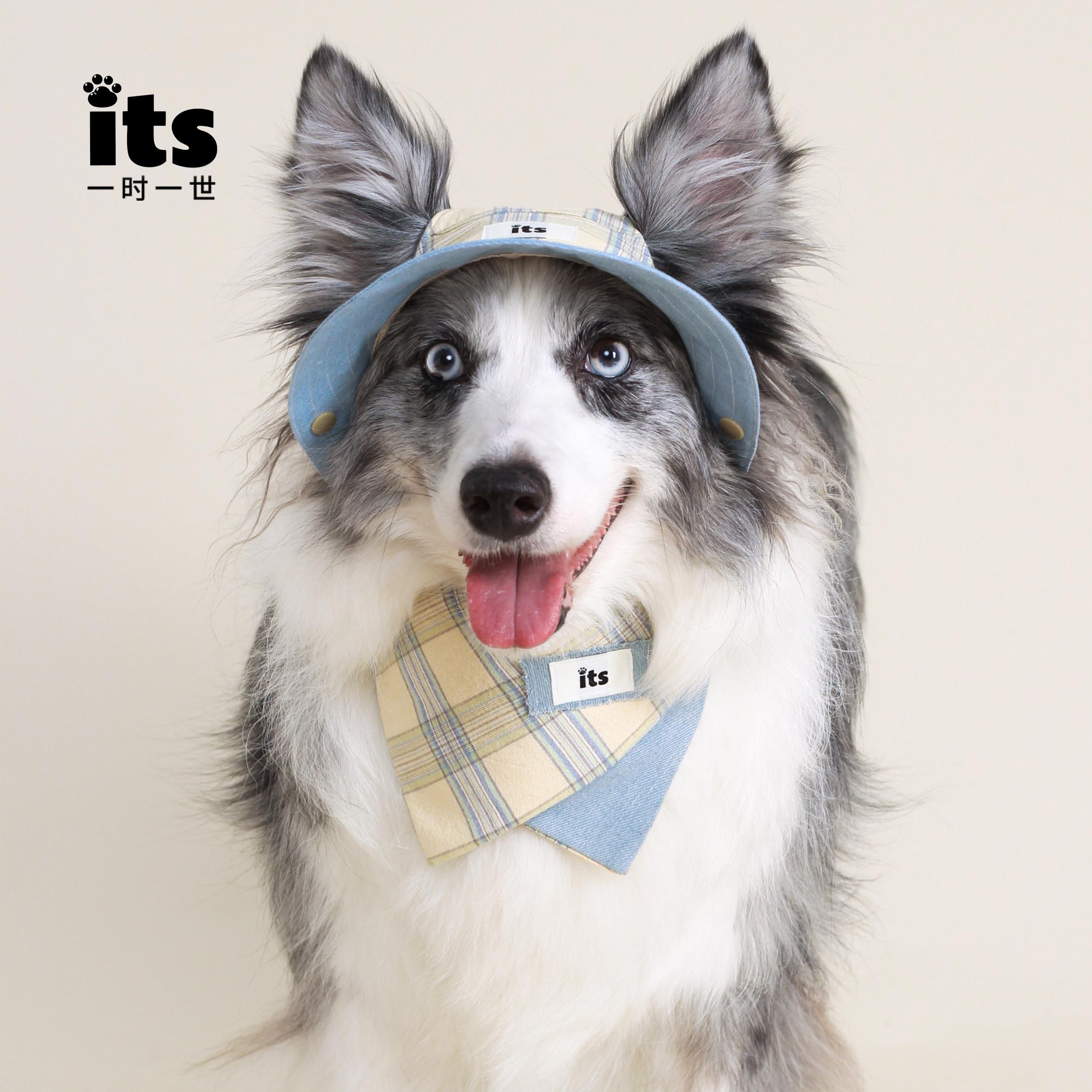 its一时一世宠物帽子猫咪帽子狗狗遮阳帽牛仔户外帽运动猫咪头饰