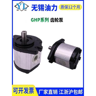 意大利马祖奇MARZOCCHI替代齿轮泵GHP1A GHP2A-D-13/16/20/22-FG