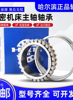 哈尔滨机牀主轴轴承 NN 3005 3006 3007 3008 K/P5 双列圆柱滚子
