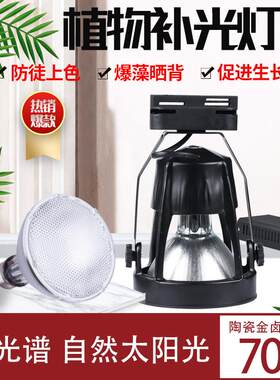 陶瓷金卤灯全光谱植物补光灯爬虫水族彷太阳光月季多肉阳台植物灯