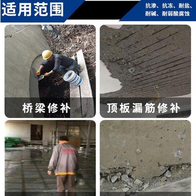 环氧砂浆环氧树脂砂浆修补砂浆胶泥修补加固桥梁柱子抗渗防腐修补