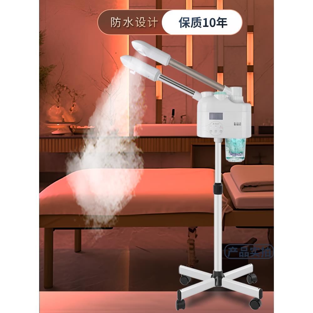 泰东美容院冷热喷雾机热喷仪美容院专用可加药包双喷蒸脸器仪器