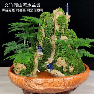 山水盆景六月雪罗汉松文竹盆栽树桩悬崖植物室内吸水假山石小绿植